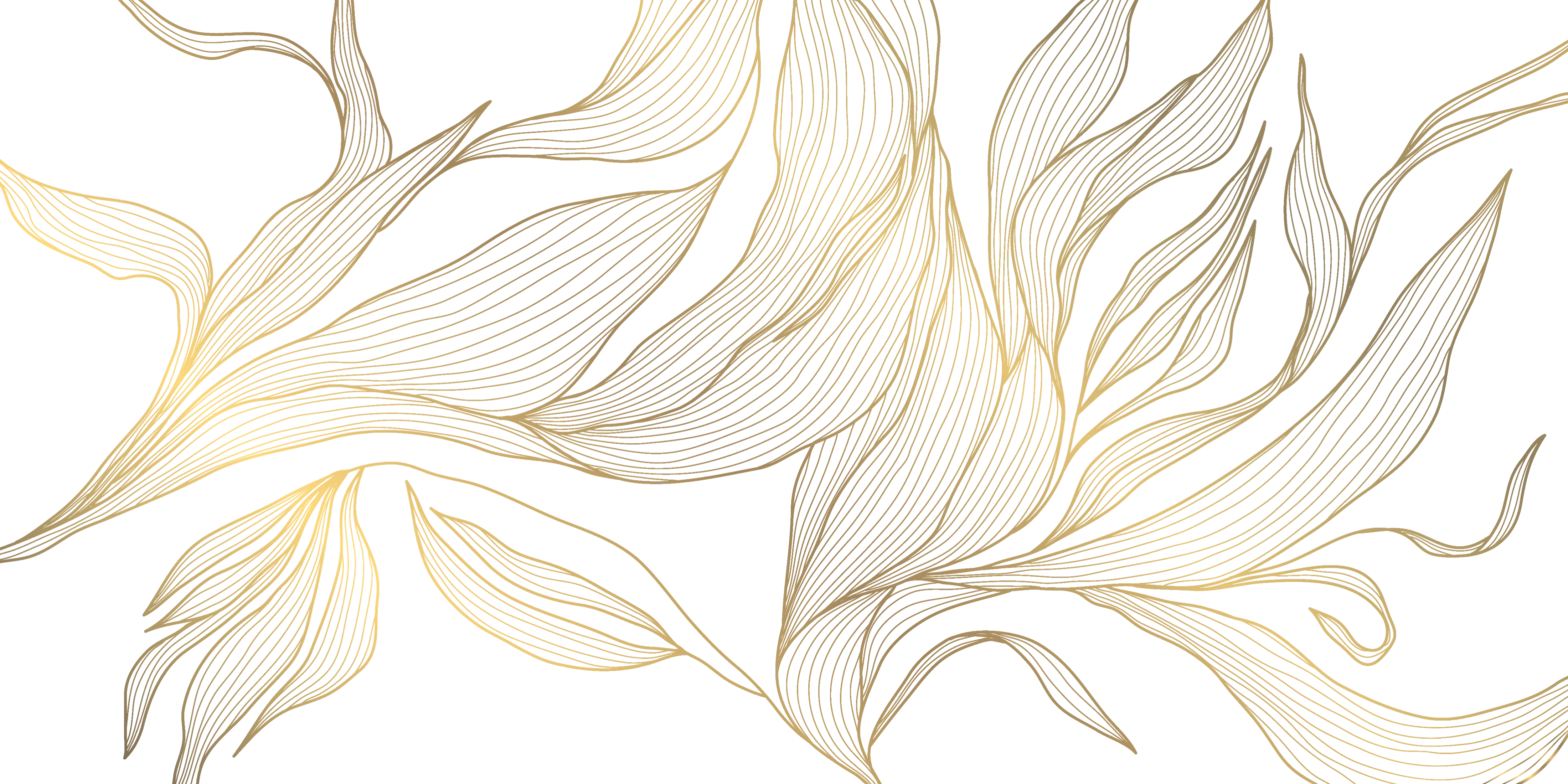 r1076-1-15-5mb-17750424127715.png