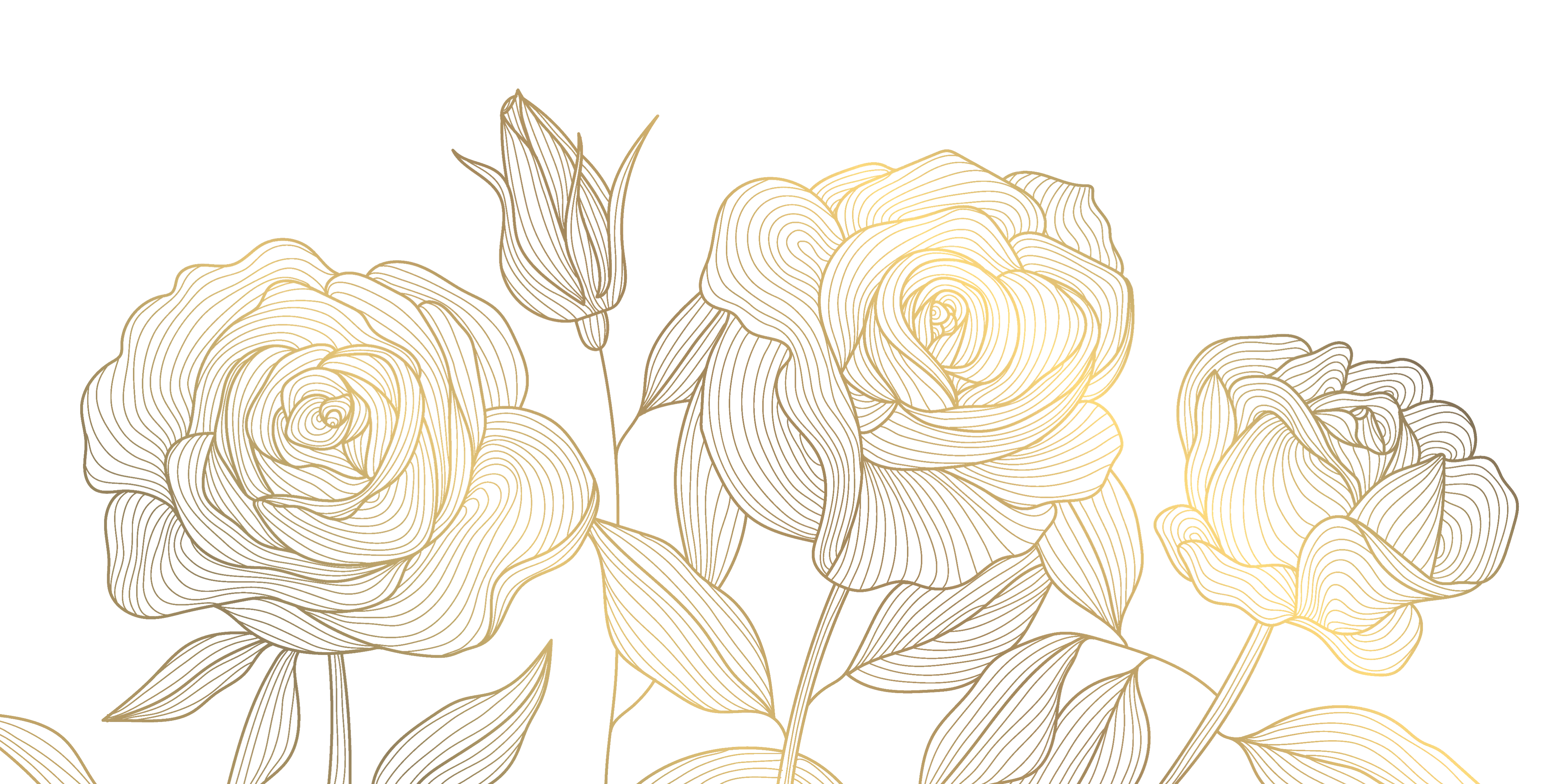 r1077-1-22-5mb-17750464869951.png