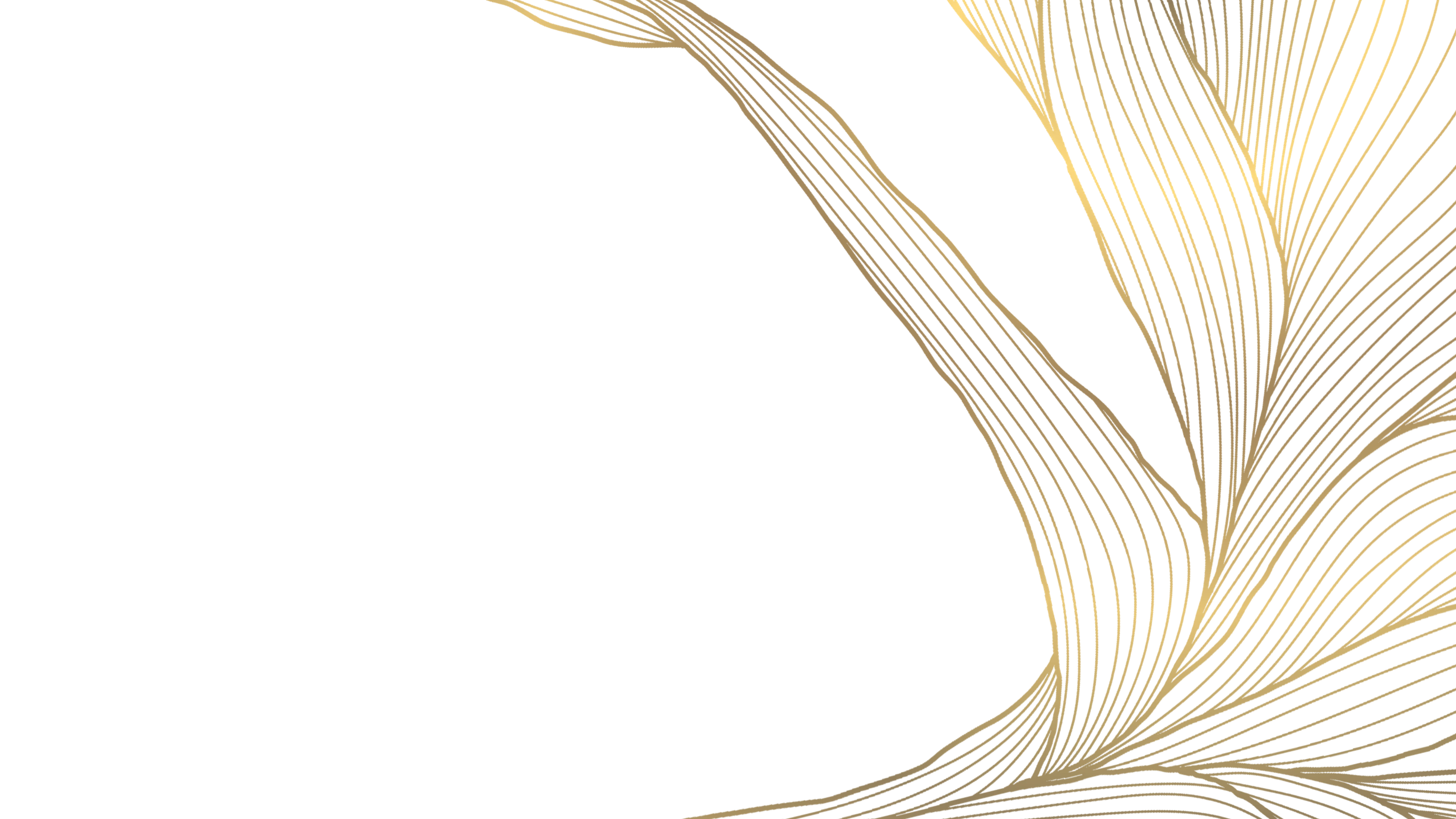 r1079-1-23-remake-2-5mb-17750468029303.png